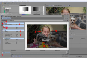 Arbeiten Mit Masken in Sony Vegas Pro